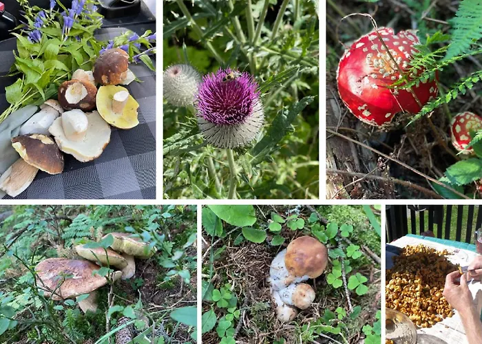 Dom wakacyjny Idyllische Almhuette Am Gaberl *