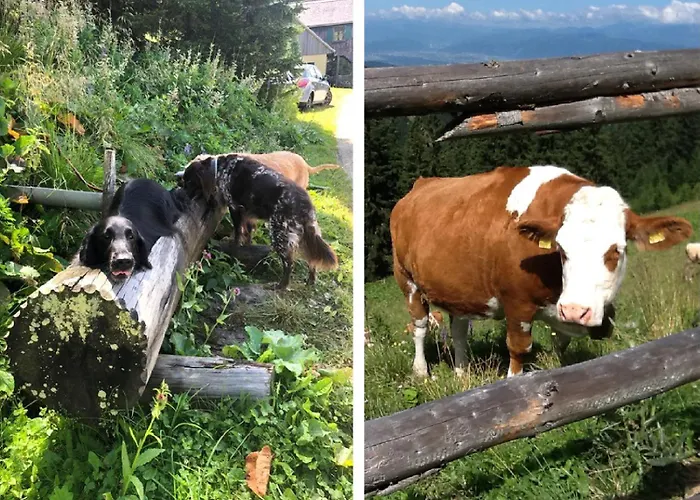 Idyllische Almhuette Am Gaberl Dom wakacyjny